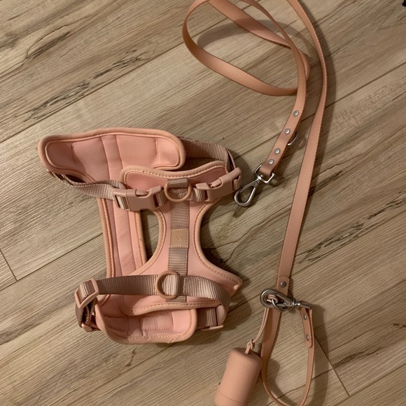 Wild one harness leash kit size medium